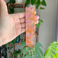 Cottage Core Persimmon Orange Wristlet