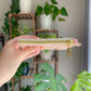 Cottage Core Spring Coral Wallet