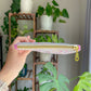 Cottage Core Spring Floral Toile E-Reader Sleeve